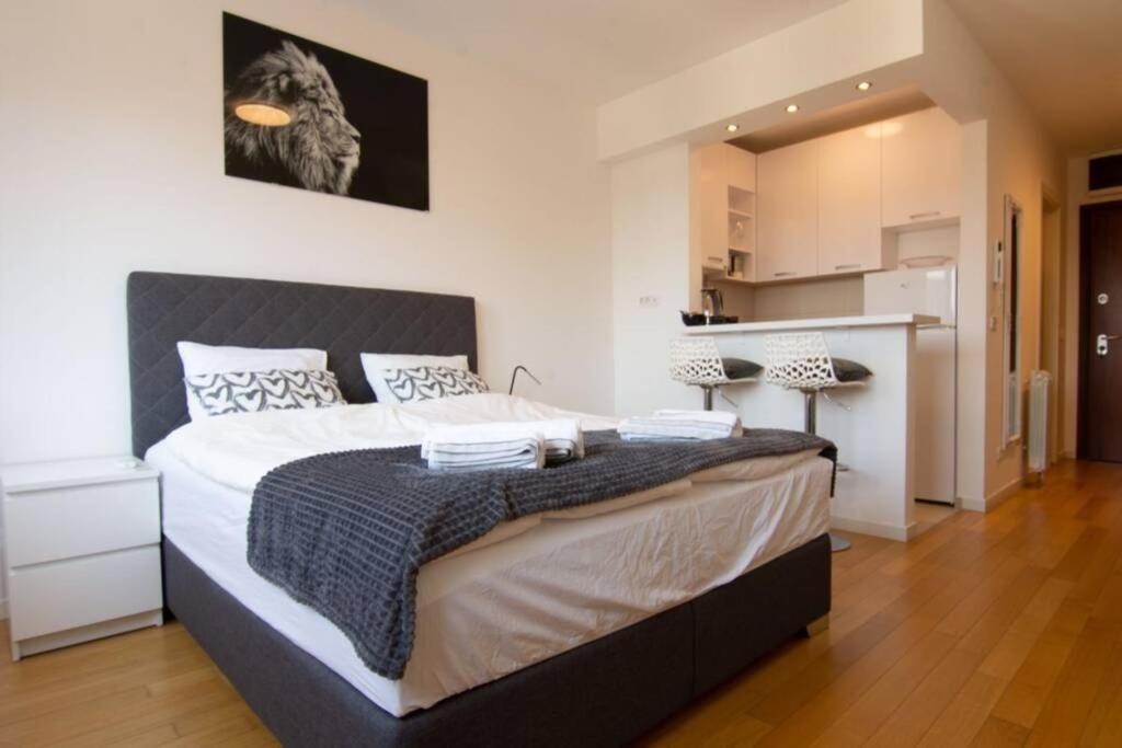 A Blok New Modern - Free Garage Parking, Comfortable, Quiet With A Park View Belgrade Extérieur photo